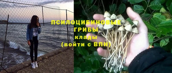 бошки Михайлов