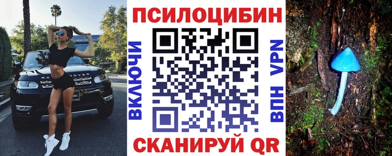 Псилоцибиновые грибы MAGIC MUSHROOMS  Купить  Камышин 